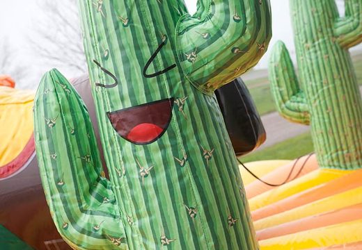 Kaktusdetail auf aufblasbarem Pull Rodeo