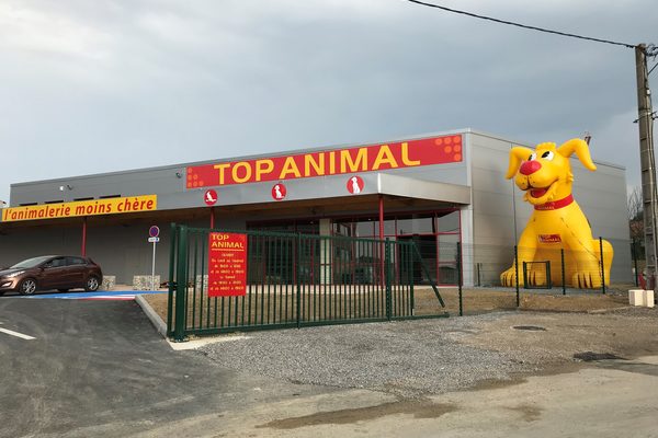 Mega top animal yellow dog maskottchen bestellen. Kaufen sie aufblasbare werbeartikel online bei JB-Hüpfburgen Deutschland