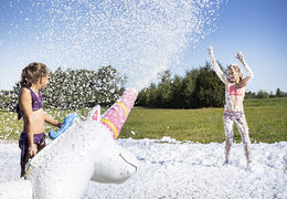 Bubble Shooter Unicorn