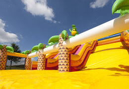 Dino world slide