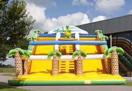 Dino world slide