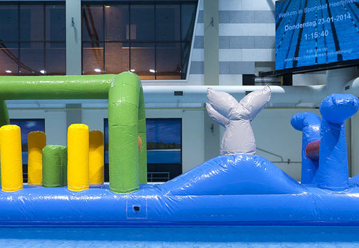 Spektakuläre poolbahn mit delphin-thema und herausfordernden hindernisobjekten für jung und alt. Kaufen sie aufblasbare poolspiele jetzt online bei JB-Hüpfburgen Deutschland