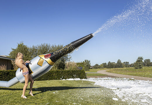 Bubble Shooter Champagne