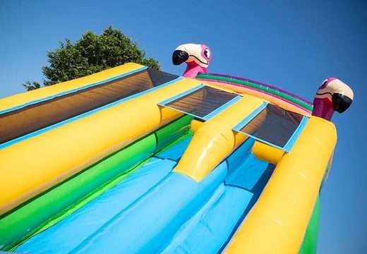 Drop & Slide Jungle hüpfburg mit doppelrutsche für kinder bestellen. Kaufen sie aufblasbare hüpfburgen online bei JB-Hüpfburgen Deutschland