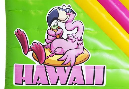 Kinder-Hawaii-Thema, aufblasbarer, kompakter Rutschen-Hüpfer zum Verkauf