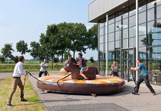 Pull-Rodeo-Spiel kaufen